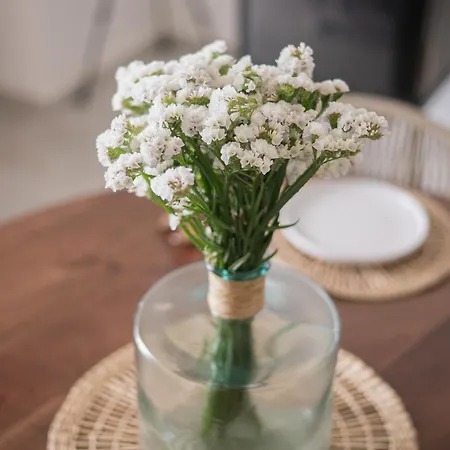 Bed & Breakfast Vicoloterzo