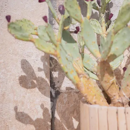 Vicoloterzo Bed & Breakfast Bari