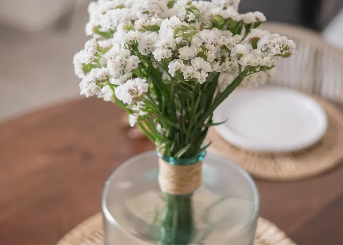Alojamento de Acomodação e Pequeno-almoço Vicoloterzo
