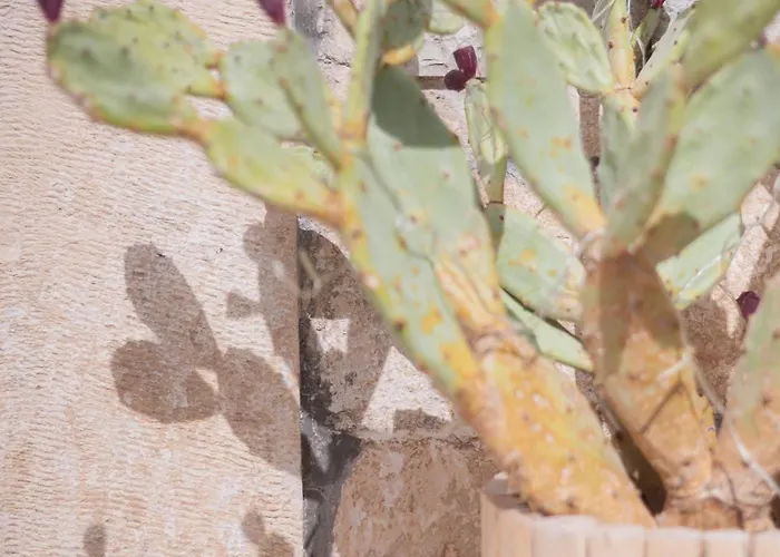Vicoloterzo Alojamento de Acomodação e Pequeno-almoço Bari